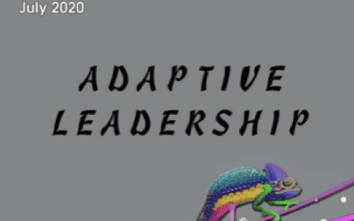 Adaptive Leadership